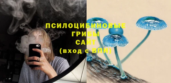 бутират Михайловка