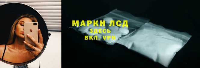 шишки Михайлов