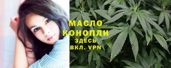 дмт Михайловск