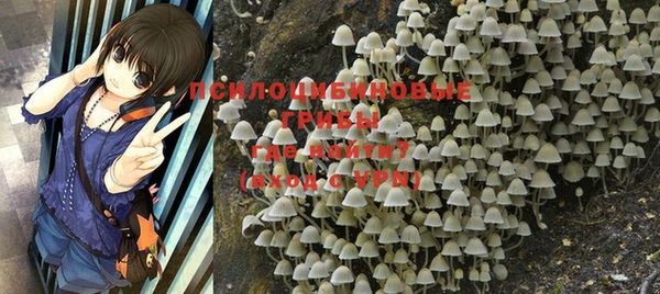 шишки Михайлов