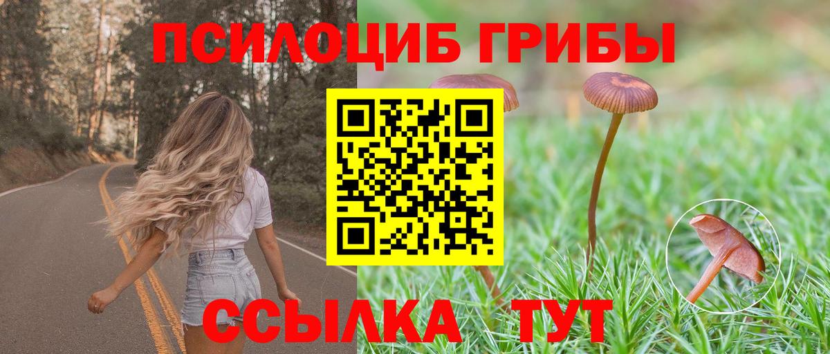 Якутск  Псилоцибиновые грибы ЛСД  Вход с VPN 